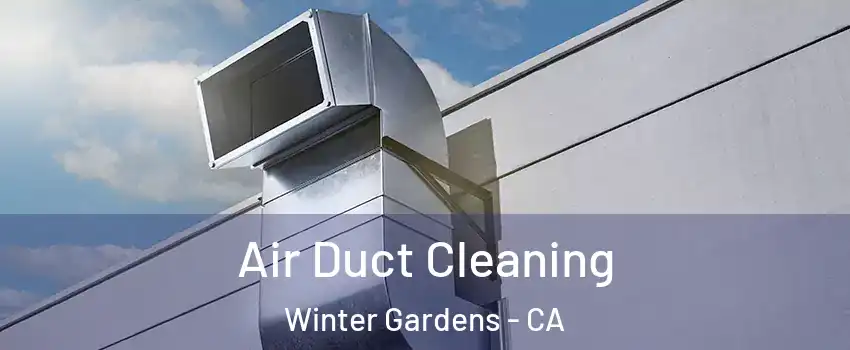 Air Duct Cleaning Winter Gardens - CA