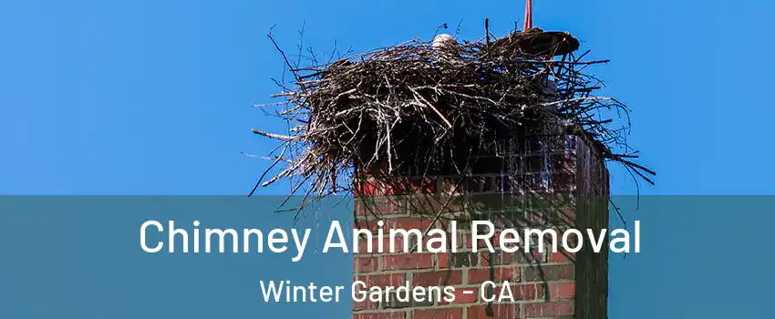  Chimney Animal Removal Winter Gardens - CA