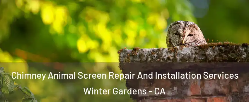  Chimney Animal Screen Repair And Installation Services Winter Gardens - CA