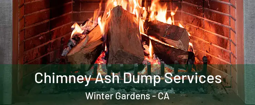  Chimney Ash Dump Services Winter Gardens - CA