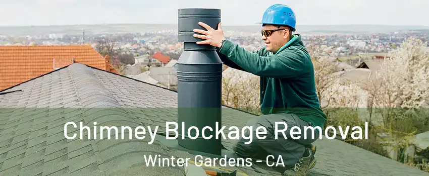  Chimney Blockage Removal Winter Gardens - CA