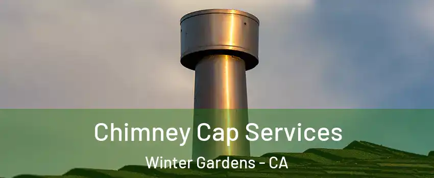  Chimney Cap Services Winter Gardens - CA