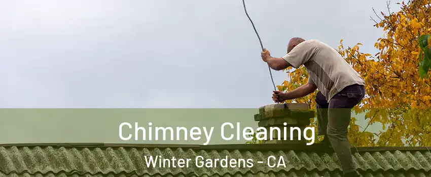  Chimney Cleaning Winter Gardens - CA