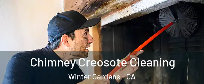  Chimney Creosote Cleaning Winter Gardens - CA