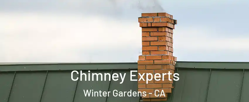  Chimney Experts Winter Gardens - CA