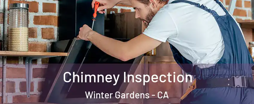  Chimney Inspection Winter Gardens - CA