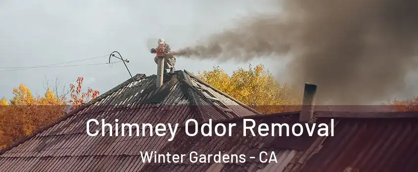  Chimney Odor Removal Winter Gardens - CA