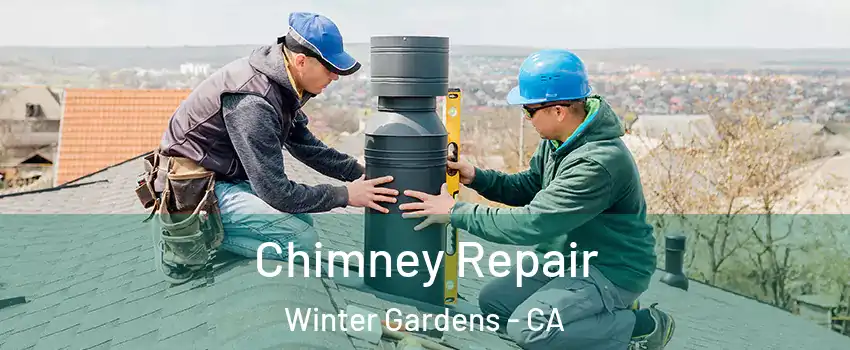  Chimney Repair Winter Gardens - CA