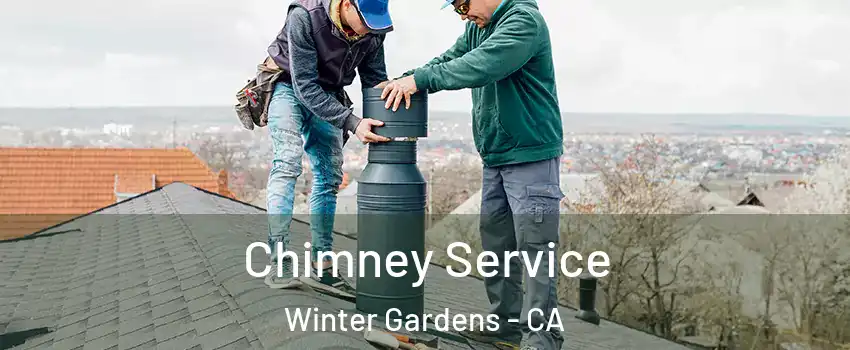  Chimney Service Winter Gardens - CA