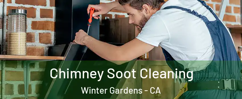  Chimney Soot Cleaning Winter Gardens - CA