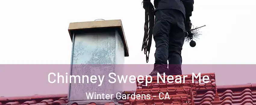  Chimney Sweep Near Me Winter Gardens - CA