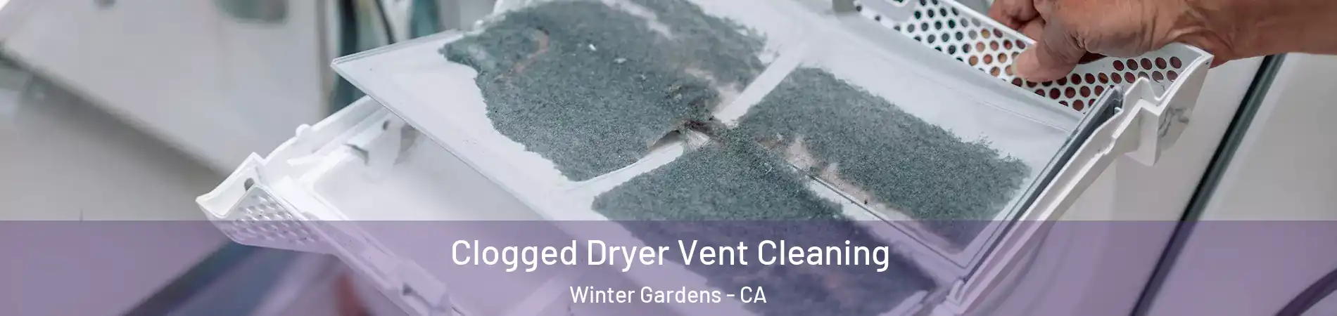  Clogged Dryer Vent Cleaning Winter Gardens - CA