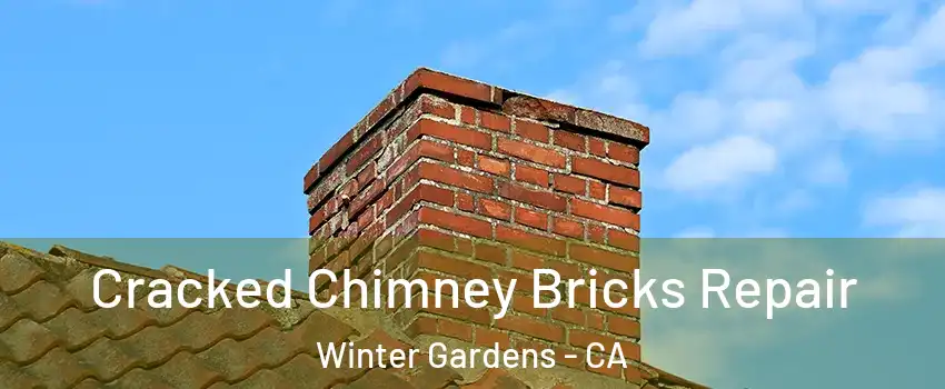 Cracked Chimney Bricks Repair Winter Gardens - CA