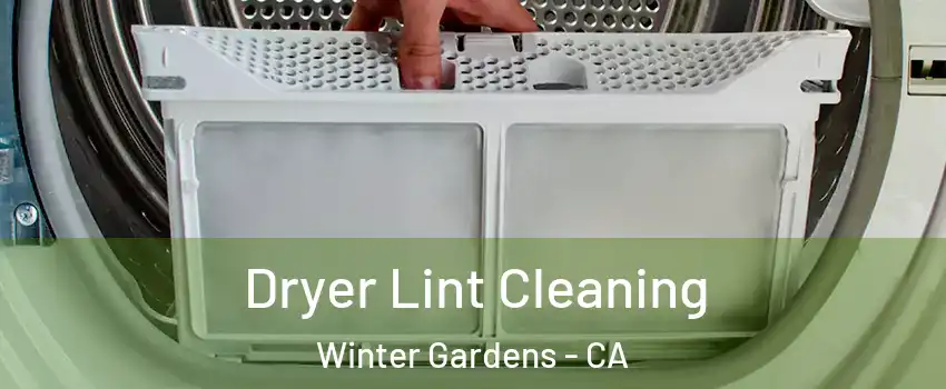  Dryer Lint Cleaning Winter Gardens - CA
