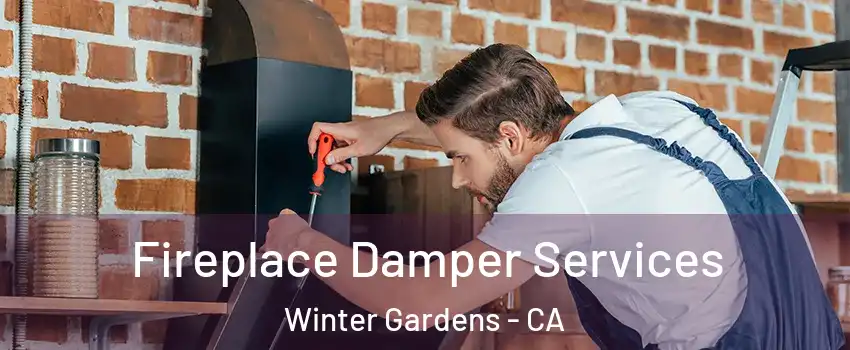  Fireplace Damper Services Winter Gardens - CA