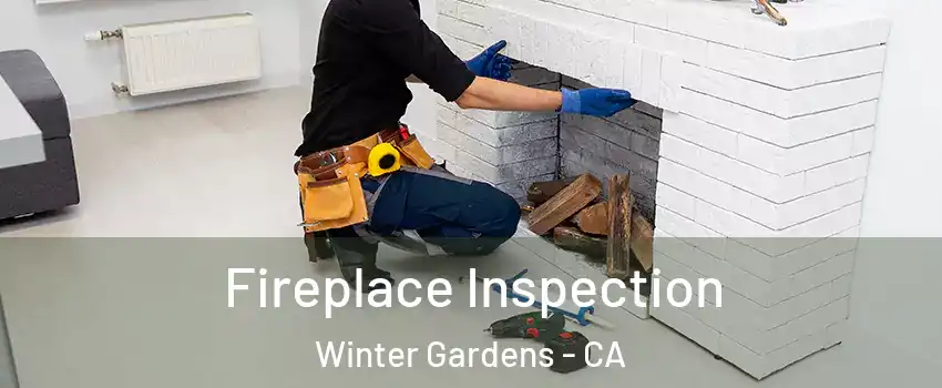  Fireplace Inspection Winter Gardens - CA