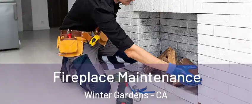  Fireplace Maintenance Winter Gardens - CA