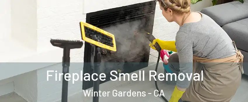 Fireplace Smell Removal Winter Gardens - CA