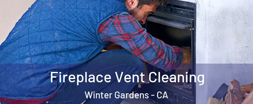  Fireplace Vent Cleaning Winter Gardens - CA