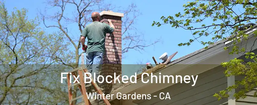  Fix Blocked Chimney Winter Gardens - CA
