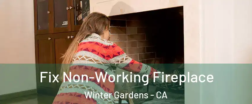  Fix Non-Working Fireplace Winter Gardens - CA