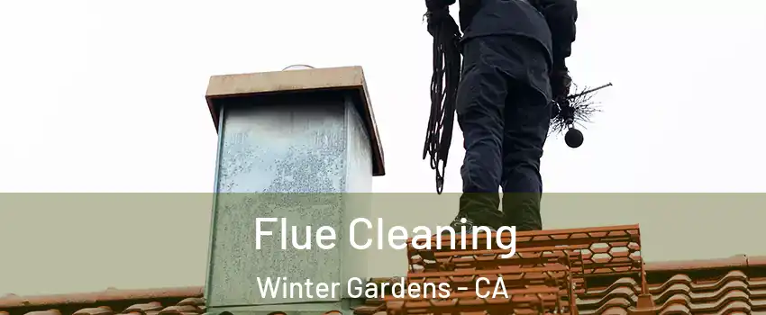  Flue Cleaning Winter Gardens - CA