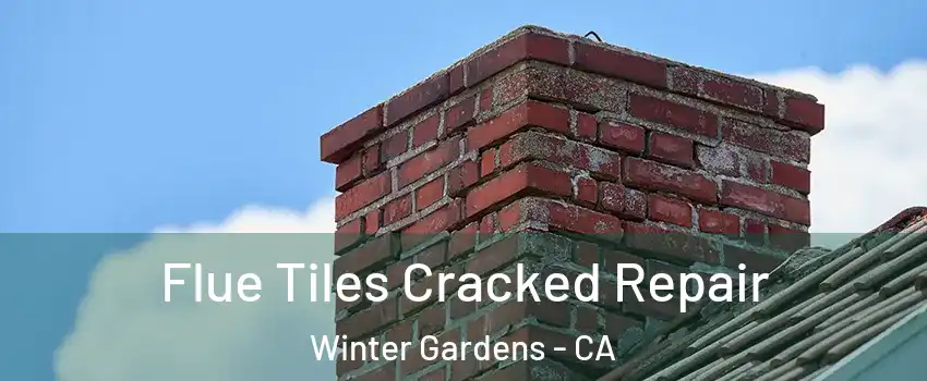  Flue Tiles Cracked Repair Winter Gardens - CA