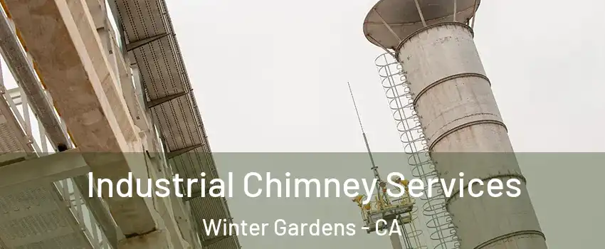  Industrial Chimney Services Winter Gardens - CA