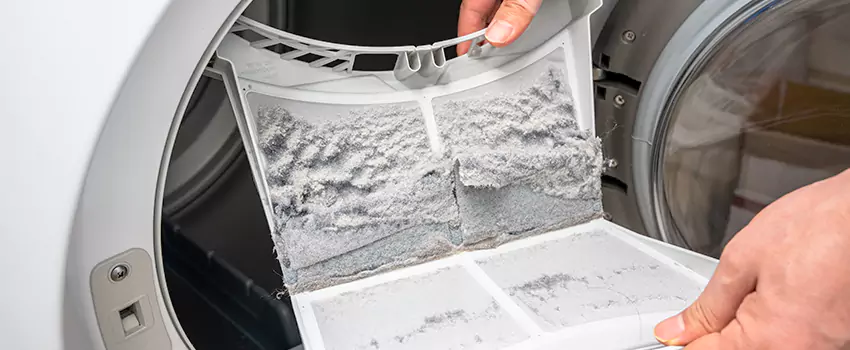 Best Dryer Lint Removal Company in Winter Gardens, California