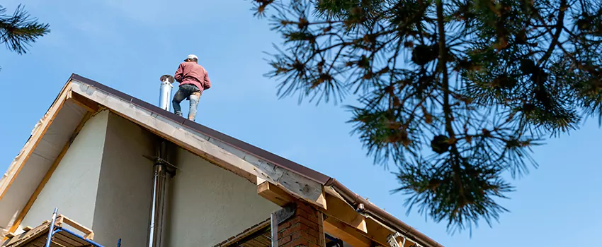 Birds Removal Contractors from Chimney in Winter Gardens, CA