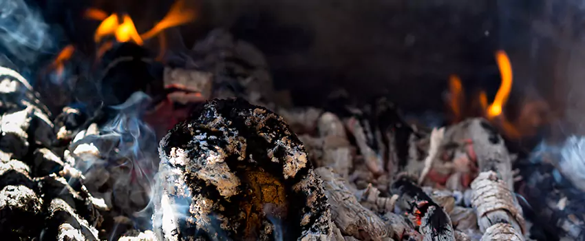 Creosote Removal Experts in Winter Gardens, CA