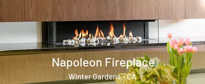  Napoleon Fireplace Winter Gardens - CA
