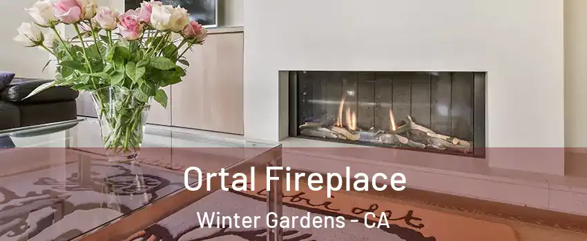  Ortal Fireplace Winter Gardens - CA