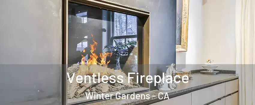  Ventless Fireplace Winter Gardens - CA